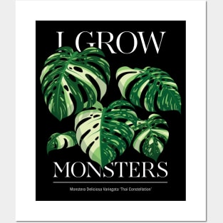 Monstera Thai Constellation Plant Lover Collection Posters and Art